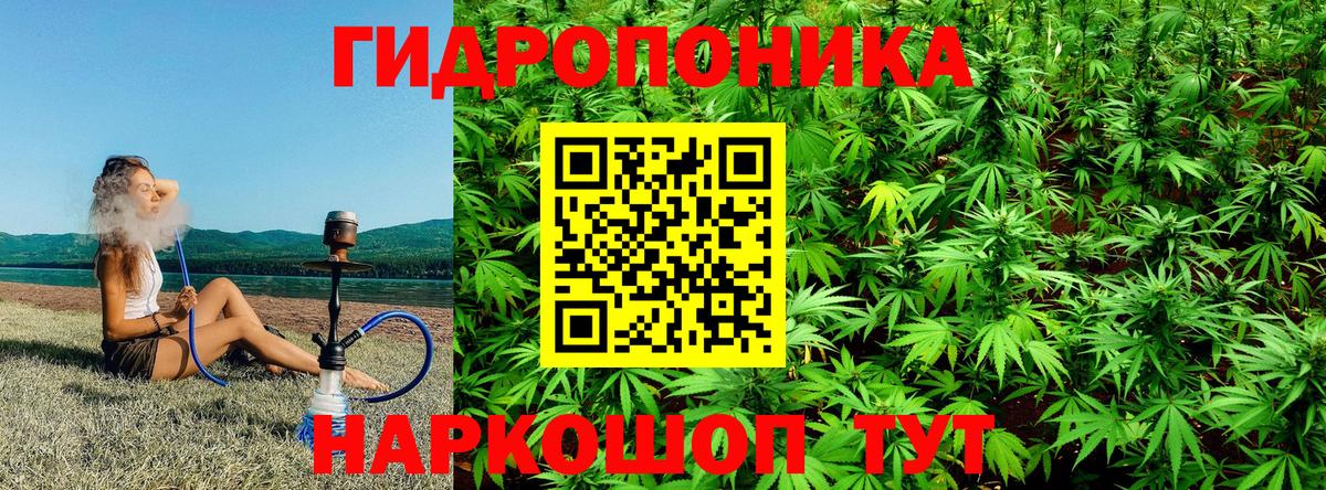 Шишки марихуана MAZAR  Каннабис THC 21%  Вход с VPN  Орехово-Зуево  Бошки марихуана ГИДРОПОН 